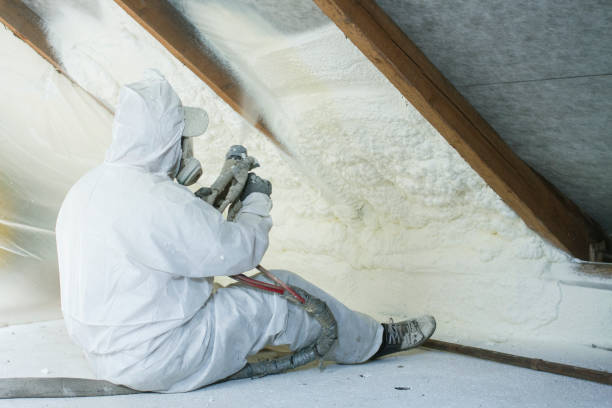 Eco-Friendly or Green Insulation Solutions in Winona, MN